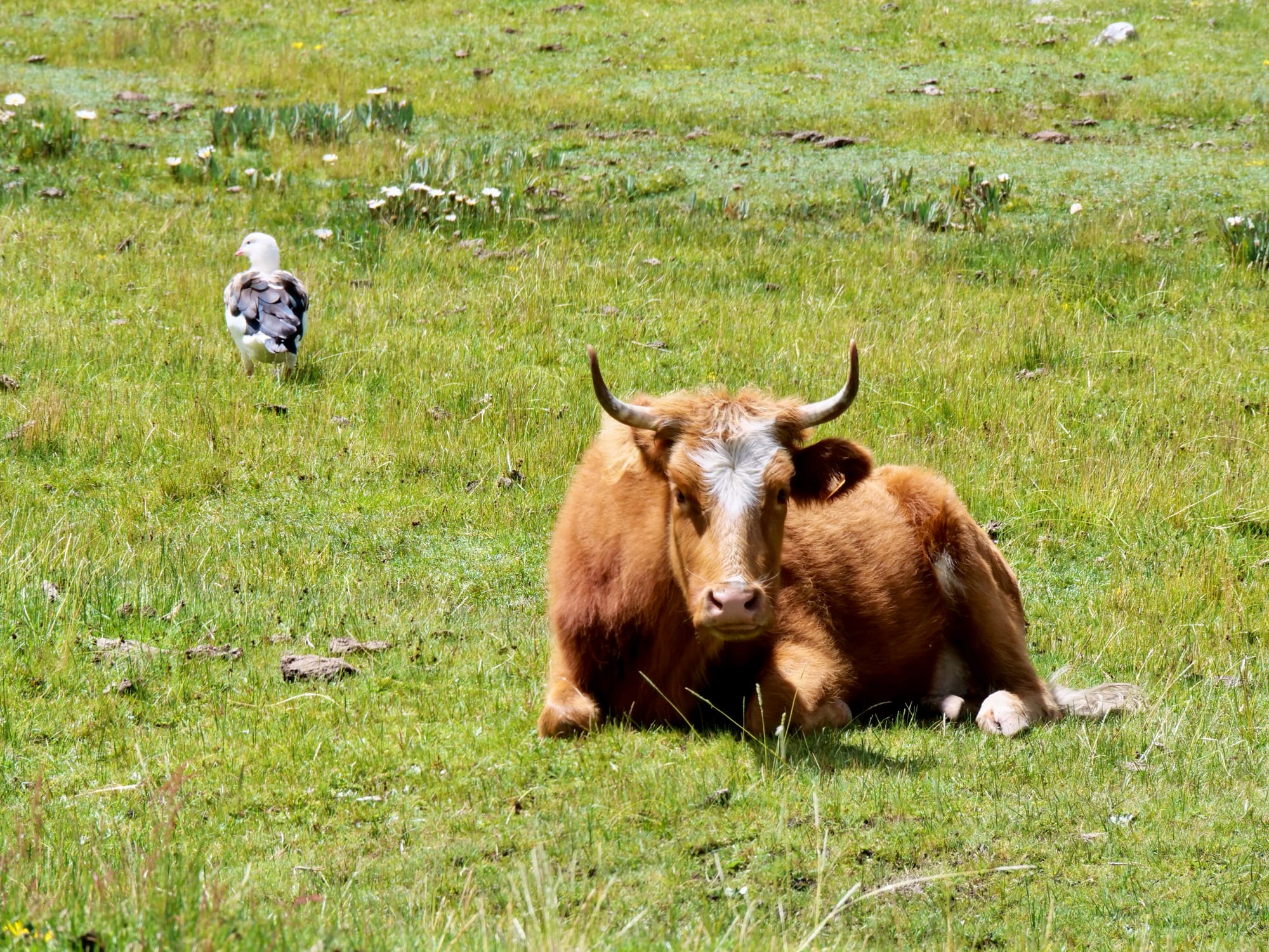 Refugio Peru - Day 1