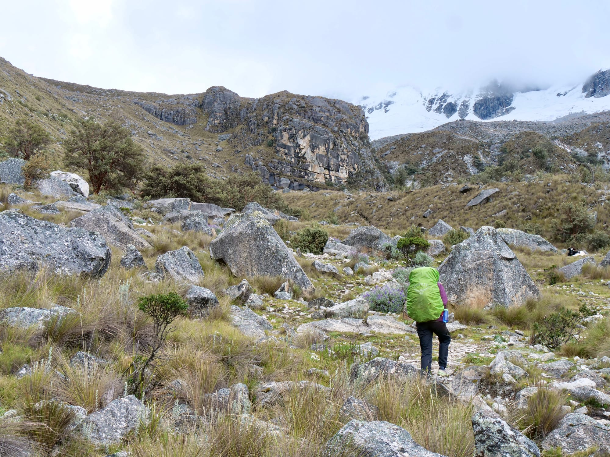 Refugio Peru - Day 1