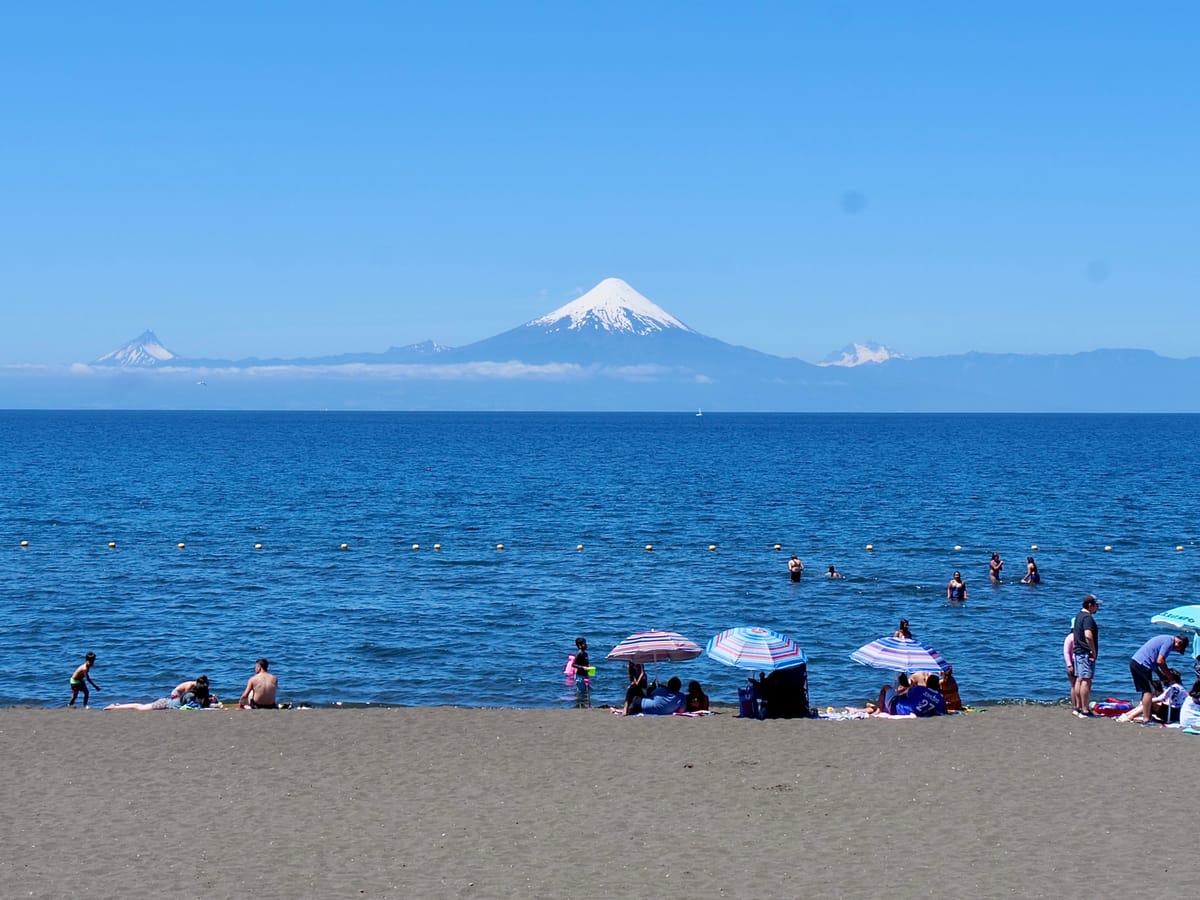 Chased by Sea Lions in Puerto Montt