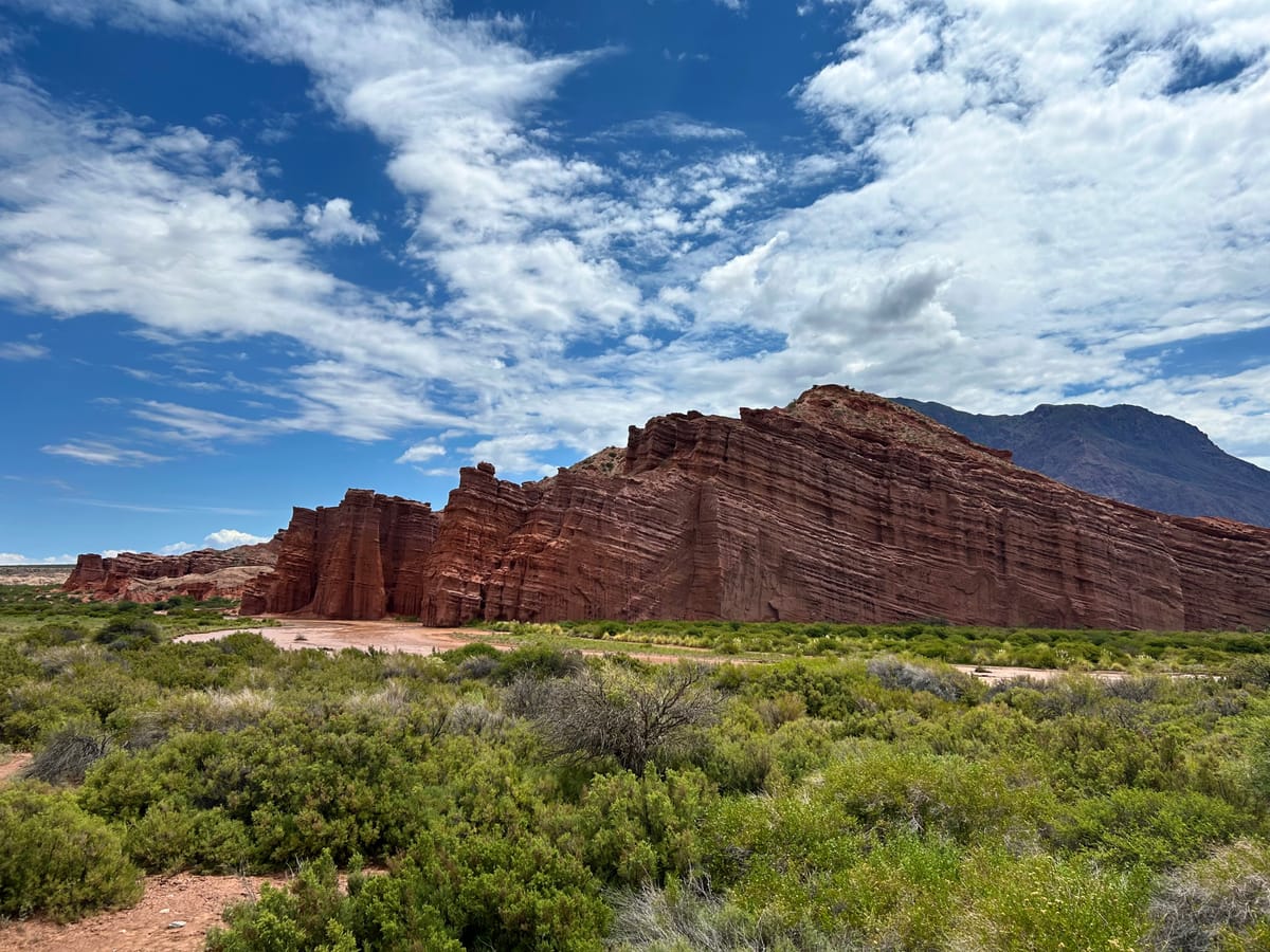 Our Final Stops in Argentina - Mendoza & Salta