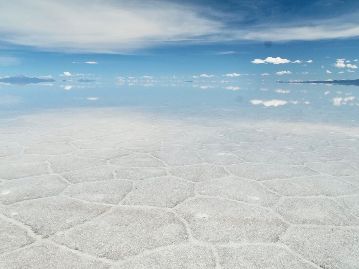 Salt Flats & Pumas in Uyuni