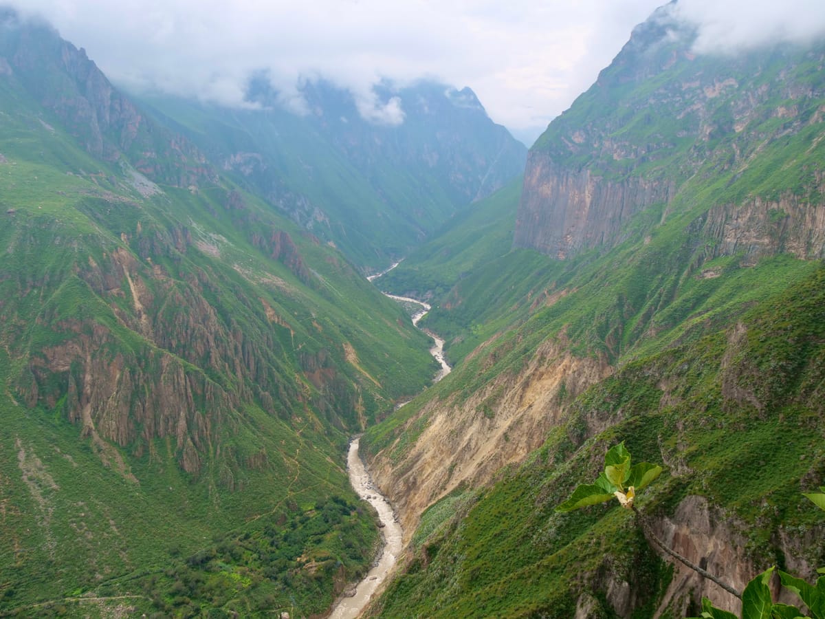 Condors in Colca Canyon