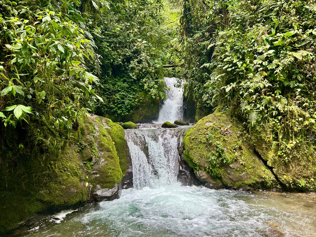 Butterflies, Birds, and Waterfalls in Ecuador